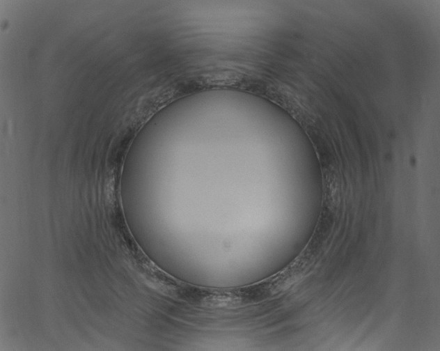 X0000062690745200601111335