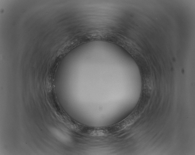 X0000062690751200601111335