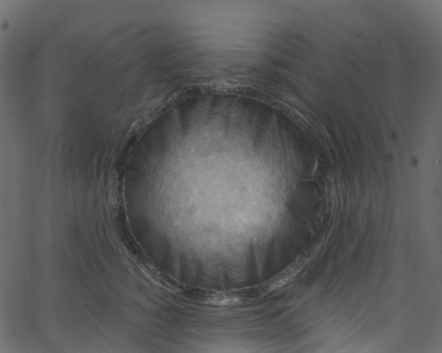 X0000062690760200601111335