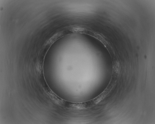 X0000062690763200601111335