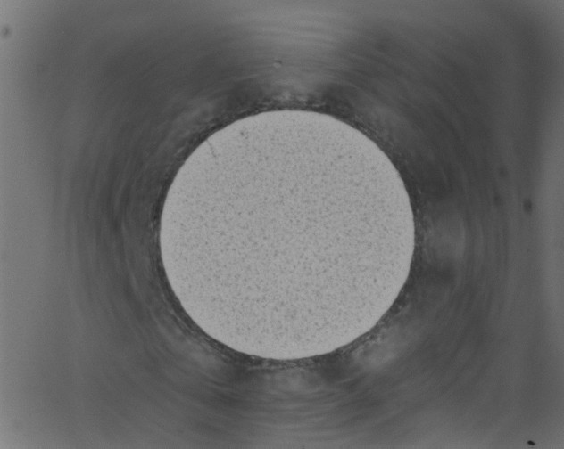 X0000062690769200601111335