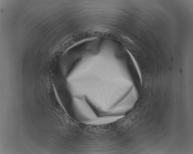 X0000062690774200601111335