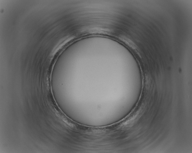 X0000062690782200601111335
