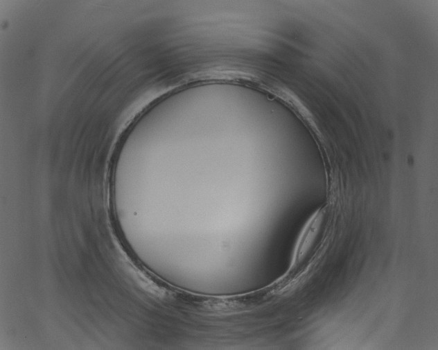 X0000062690795200601111334