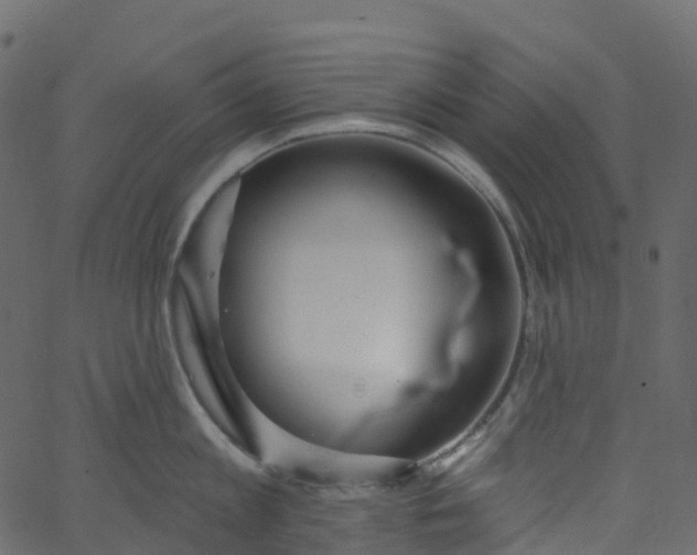 X0000062690813200601111334