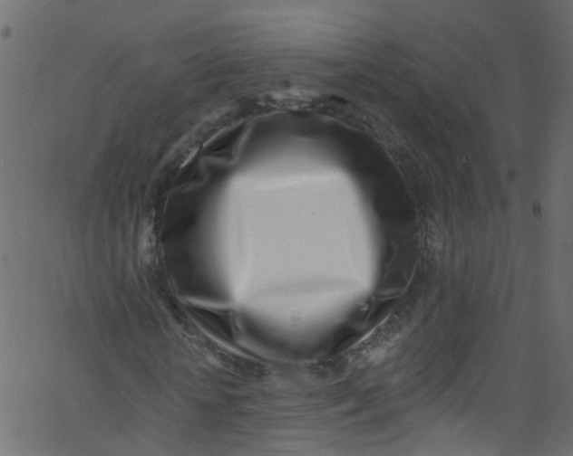 X0000062690818200601111333