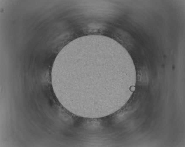 X0000062690820200601111333