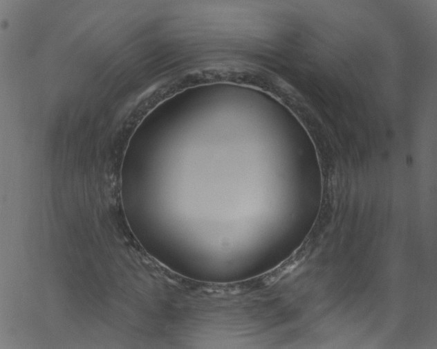 X0000062690822200601111333