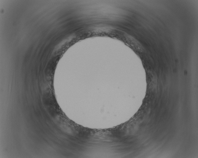 X0000062690824200601111333