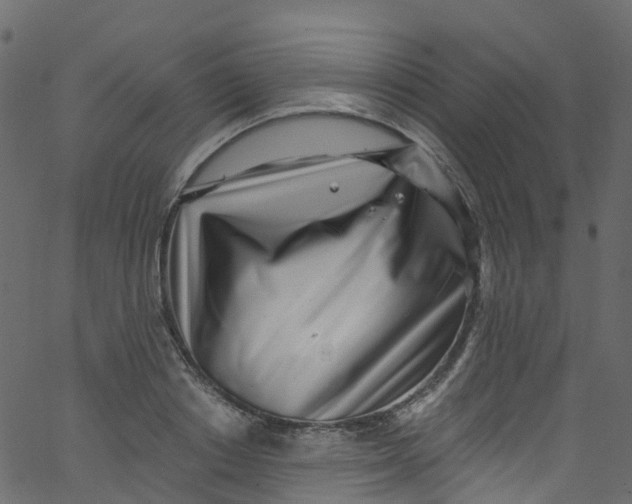 X0000062690842200601111334