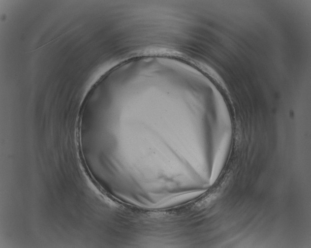 X0000062690847200601111334