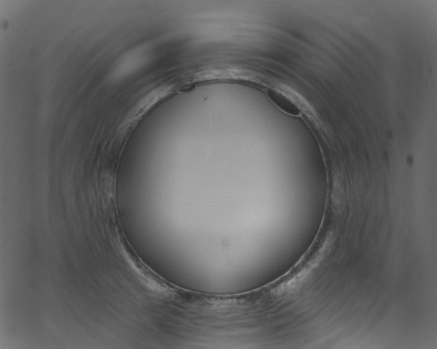 X0000062690849200601111334