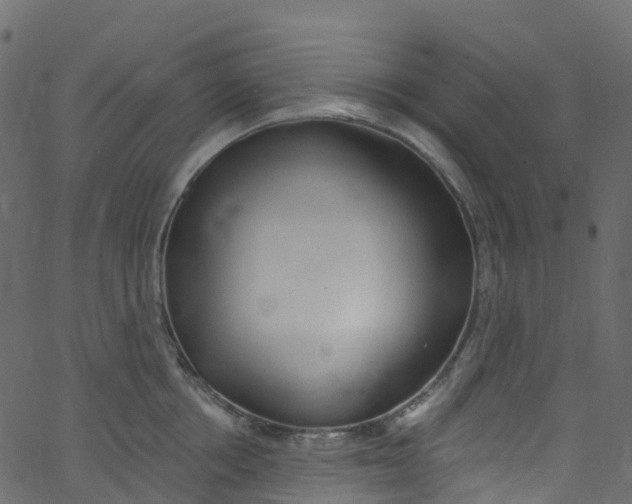 X0000062690858200601111334