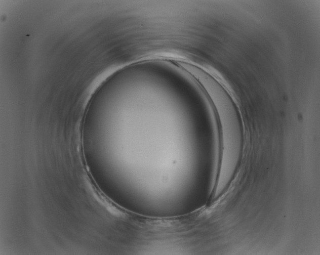 X0000062690862200601111334
