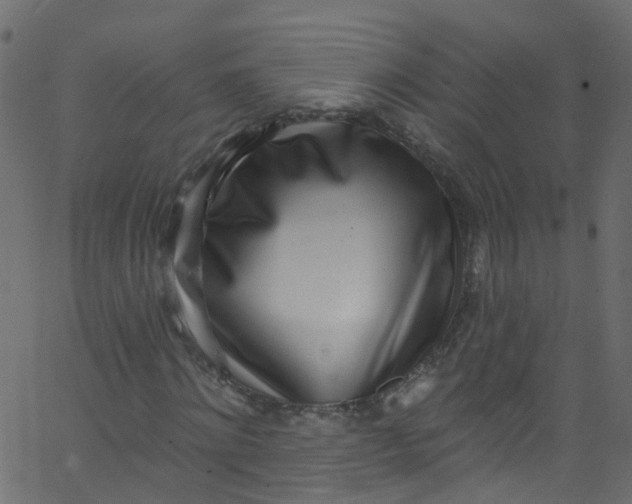 X0000062690868200601111333