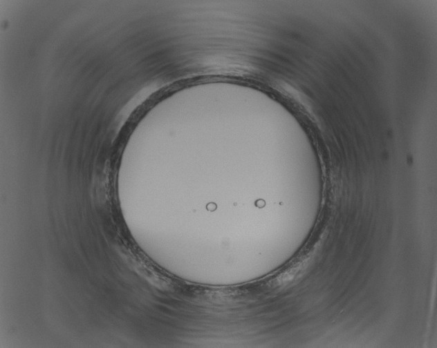 X0000062690875200601111333