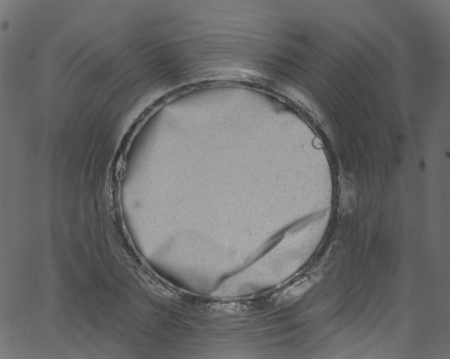 X0000062690883200601111333
