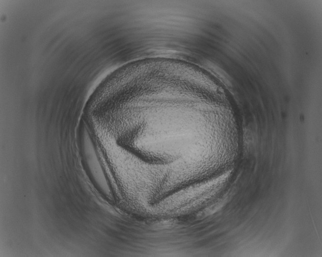 X0000062690891200601111333