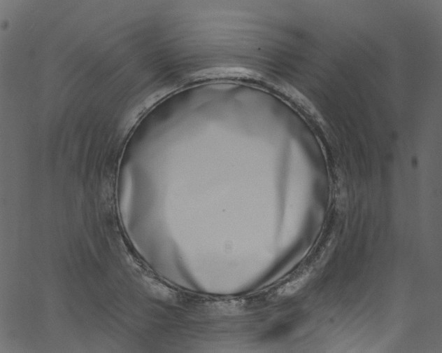 X0000062690937200601111332