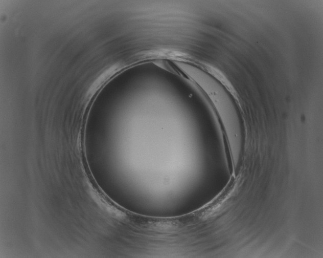 X0000062690946200601111332