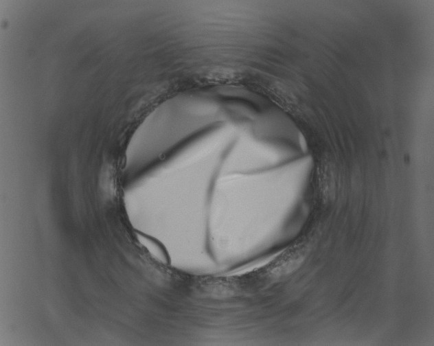 X0000062690962200601111332