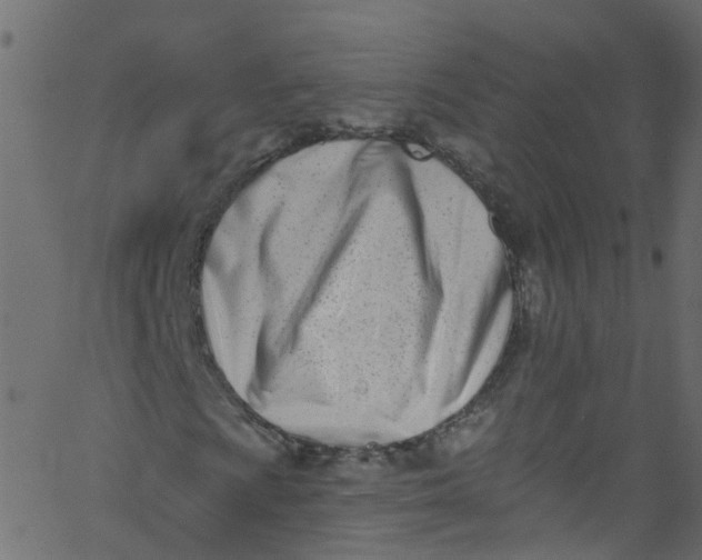 X0000062691009200601111330