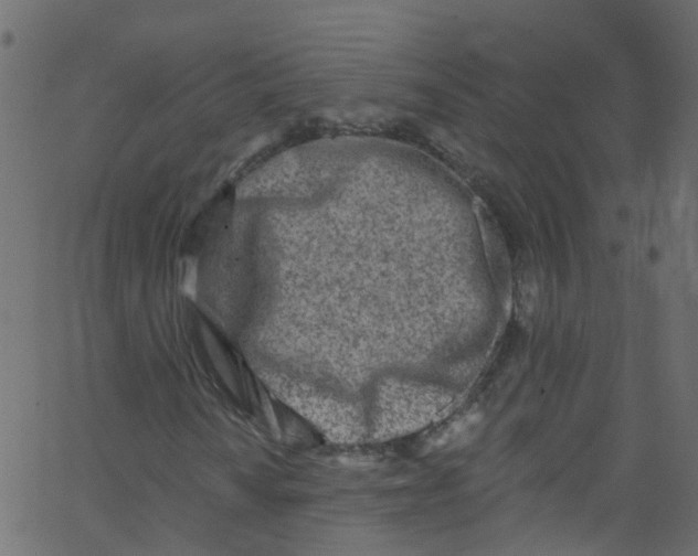 X0000062691010200601111330