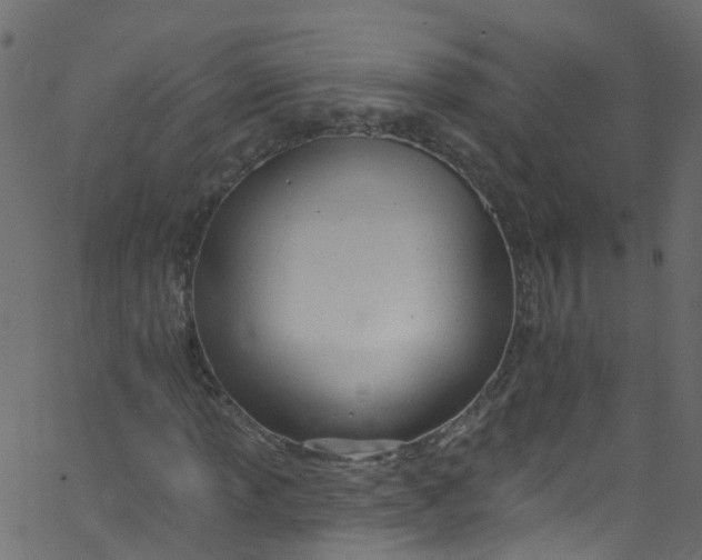 X0000062691013200601111330