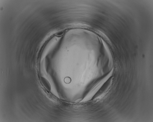 X0000062691043200601111330