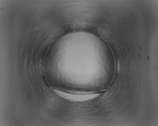 X0000062691059200601111330