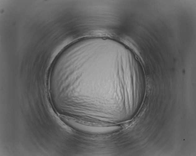 X0000062691091200601111329