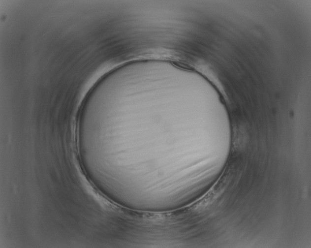 X0000062691099200601111329