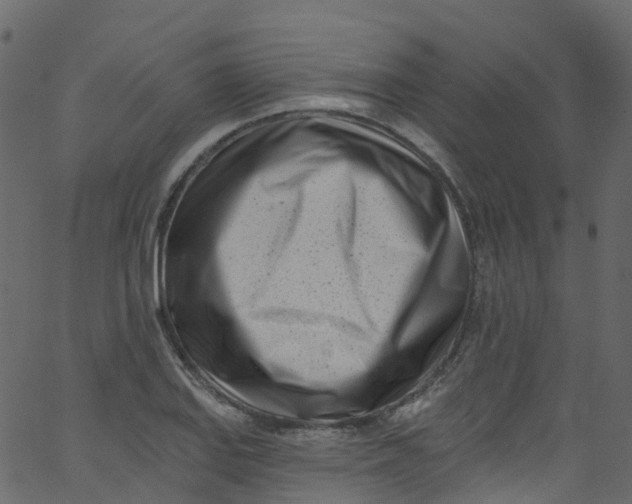 X0000062691127200601111329