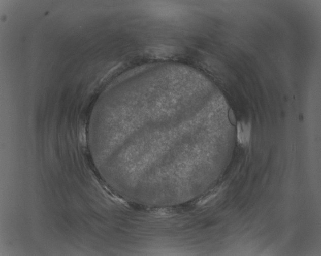 X0000062691155200601111328