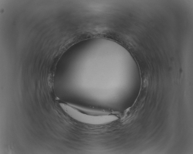 X0000062691156200601111328