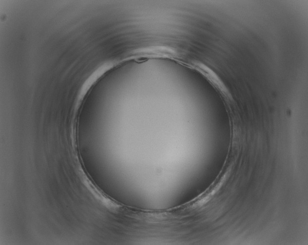 X0000062691196200601111328