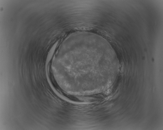 X0000062691202200601111327