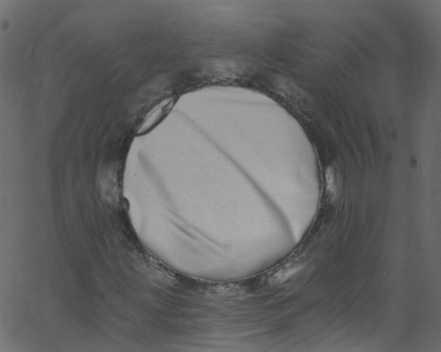X0000062691203200601111327