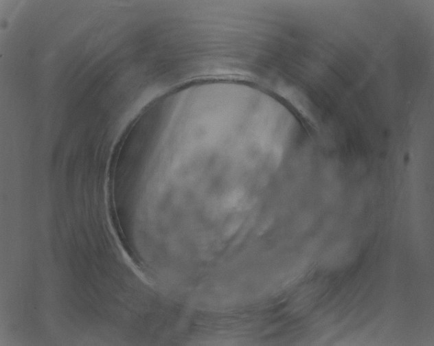X0000062691237200601111327