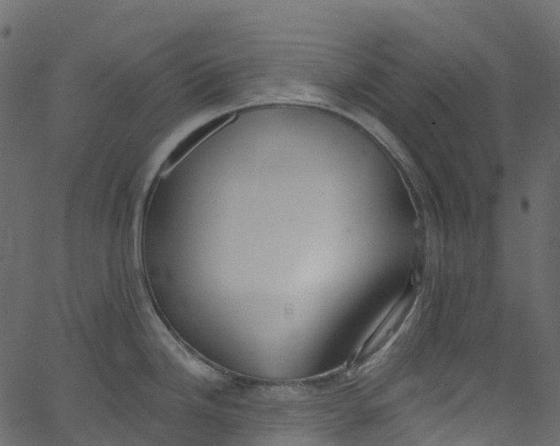 X0000062691246200601111327