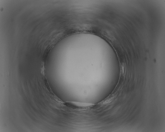 X0000062691251200601111327