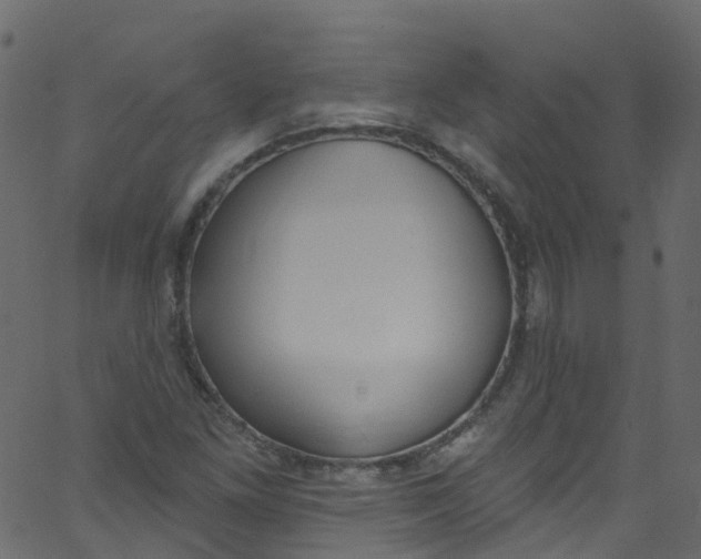 X0000062691261200601111326