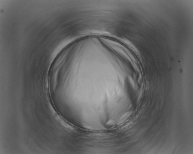 X0000062691287200601111326