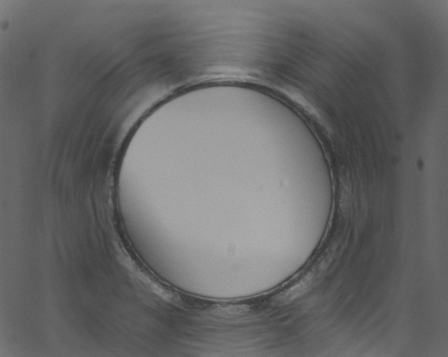 X0000062691325200601111326