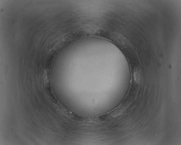 X0000062691347200601111325