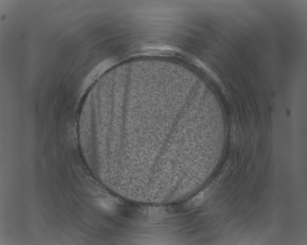 X0000062691362200601111325