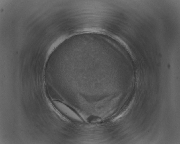 X0000062691373200601111325