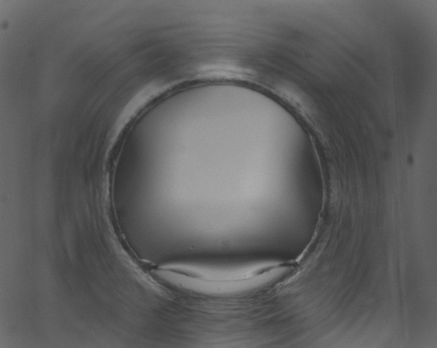 X0000062691376200601111325