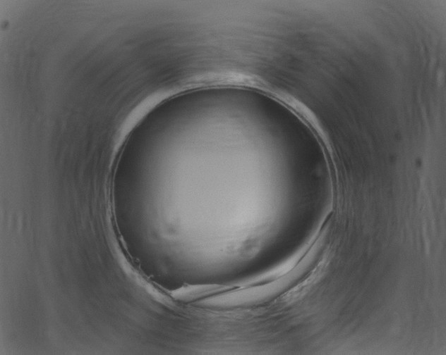 X0000062691389200601111324