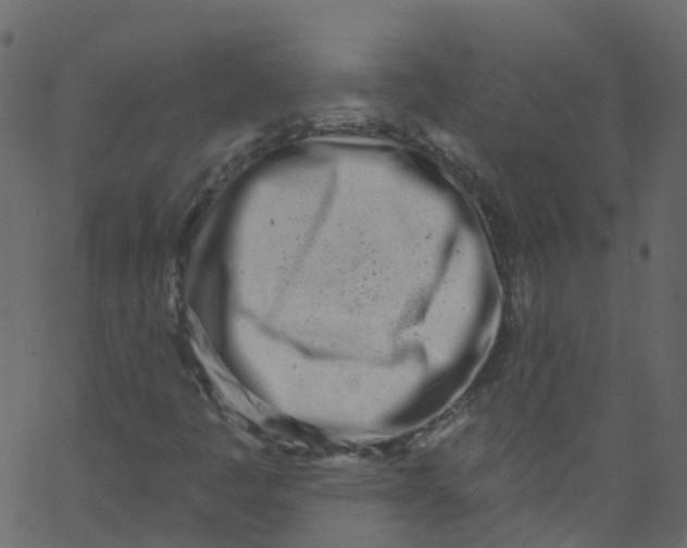 X0000062691445200601111323